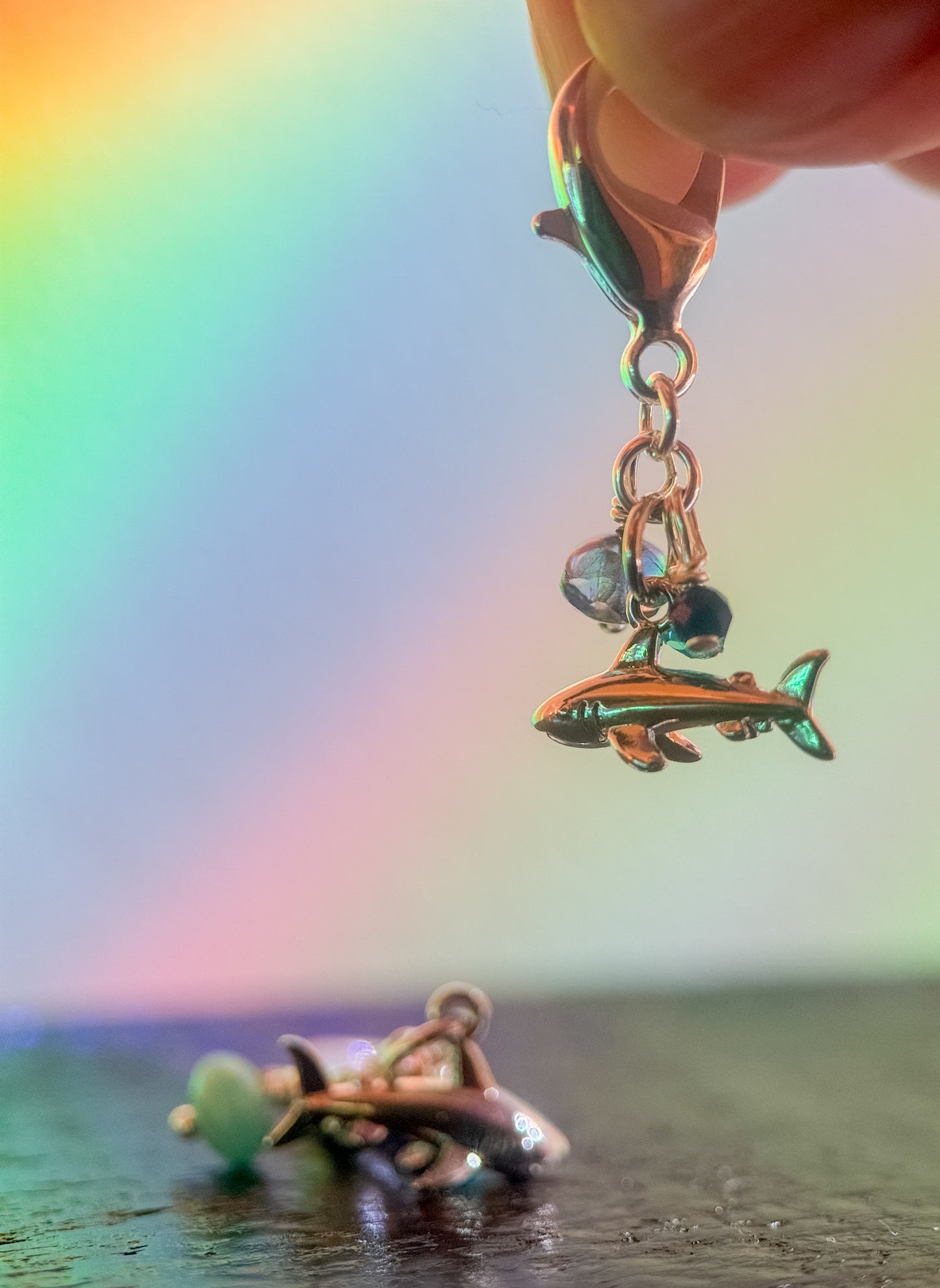 Here Fishy Fishy