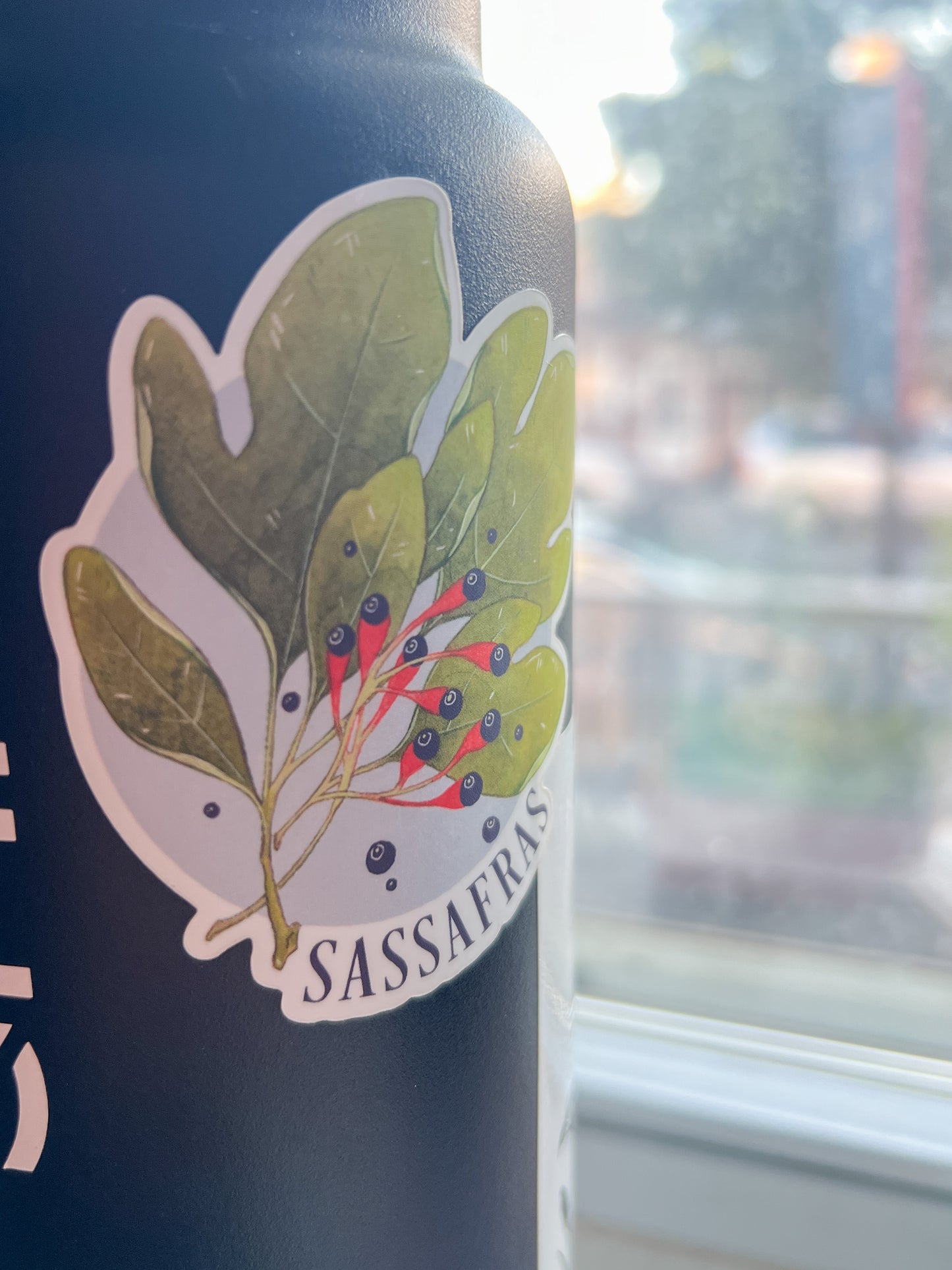 Sassafras • Sticker